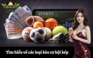 Tìm hiểu về các loại kèo cơ hội kép Draw No Bet và cách chơi