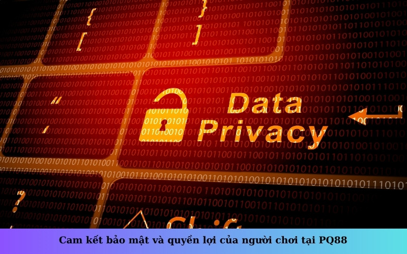 Cam kết bảo mật và quyền lợi của người chơi tại PQ88