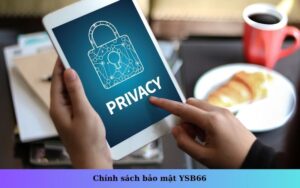 Chính sách bảo mật YSB66