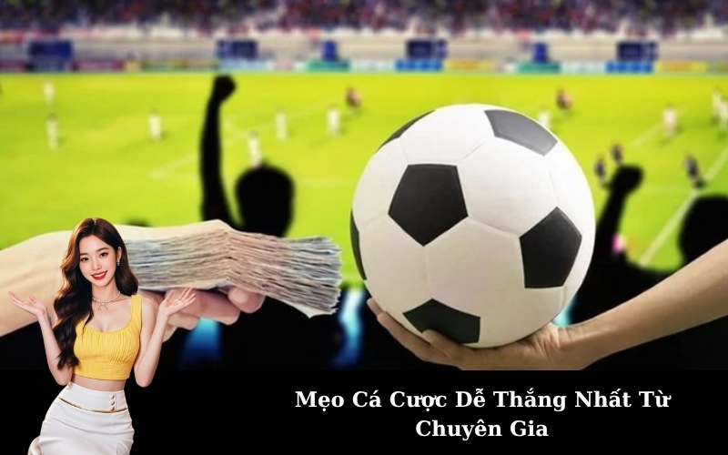 Mẹo Cá Cược Dễ Thắng Nhất Từ Chuyên Gia